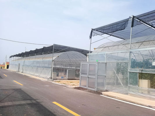Gemakkelijk te monteren Tomato Agricultural Kit Frame kas met super sterke weerstand
