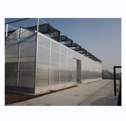 Sterke weerstand Multi Span Venlo PC Plaat kas Arch Polycarbonaat kas