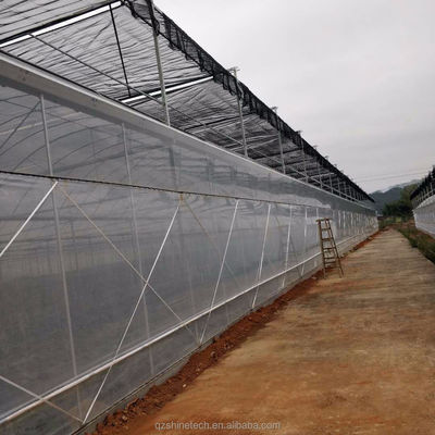 Gemakkelijk te monteren Tomato Agricultural Kit Frame kas met super sterke weerstand