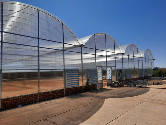 Sterke weerstand Multi Span Venlo PC Plaat kas Arch Polycarbonaat kas