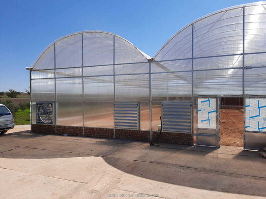 Sterke weerstand Multi Span Venlo PC Plaat kas Arch Polycarbonaat kas