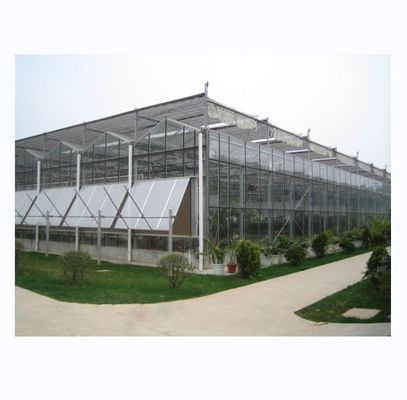 Maximale oogst Super sterke weerstand Multi Span landbouw kassen