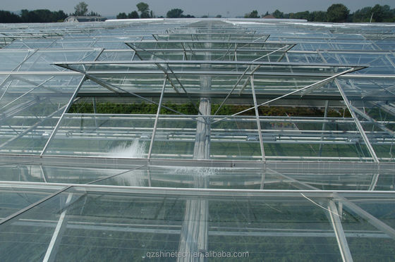 Maximale oogst Super sterke weerstand Multi Span landbouw kassen
