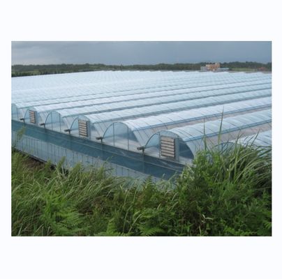 Industriële hydroponische kas met supersterke weerstand