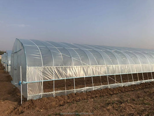 Kleine hoge tunnel film kas voor de teelt van tomaten 6m-10m breedte