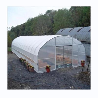 Tomatenhydroponische landbouwkasten voor een verhoogde opbrengst in een enkelvoudig ontwerp