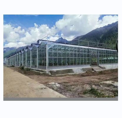 8m 9,6m 12m Span Breedte Multispan kas met hydroponisch systeem en glazen structuur