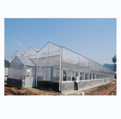 Industriële polycarbonaatplaatkasten Ideaal voor de teelt van groenten, fruit en bloemen