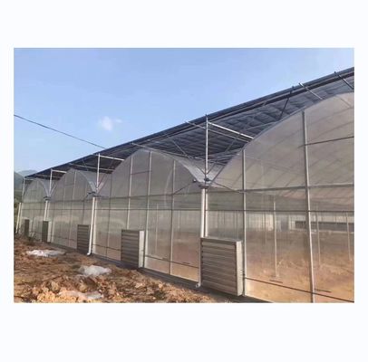 Groenten Vruchten Bloemen Film Kas Chinese Multi Span Kas voor Tomaten Landbouw