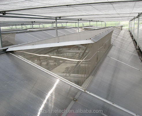 Industriële polycarbonaatplaatkasten Ideaal voor de teelt van groenten, fruit en bloemen