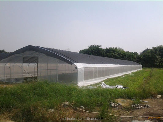 Tomatenhydroponische landbouwkasten voor een verhoogde opbrengst in een enkelvoudig ontwerp