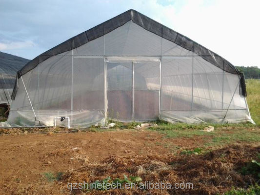 Tomatenhydroponische landbouwkasten voor een verhoogde opbrengst in een enkelvoudig ontwerp