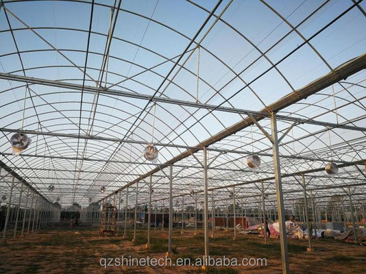 Groenten Vruchten Bloemen Film Kas Chinese Multi Span Kas voor Tomaten Landbouw