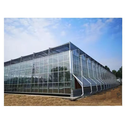 8m 9,6m 12m Span Breedte Multispan kas met hydroponisch systeem en glazen structuur