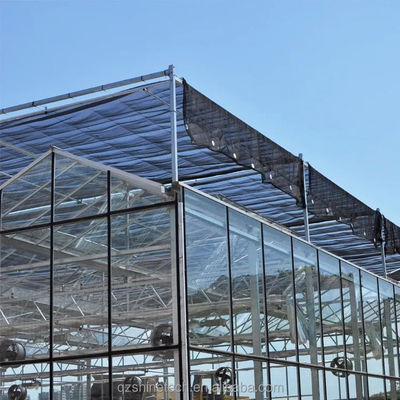 8m 9,6m 12m Span Breedte Multispan kas met hydroponisch systeem en glazen structuur