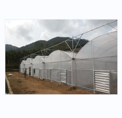 150/200 Micro-overtrekkende PE Multi-Span Film kas voor de tamatiehouderij In de landbouw