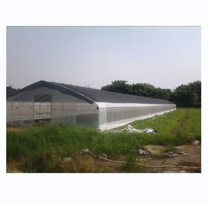 150/200micro Film High Tunnel Landbouwgreenhouse voor de hydroponische teelt van tomaten