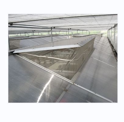 Prefab landbouwkasten met industriële polycarbonaatplaten en koelsysteem