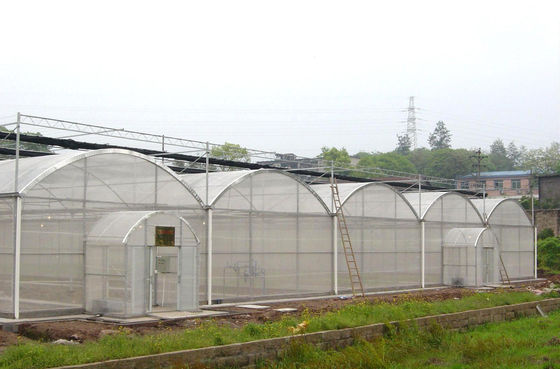 150/200 Micro-overtrekkende PE Multi-Span Film kas voor de tamatiehouderij In de landbouw