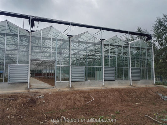 Gegalvaniseerde staalframe met glasbedekking Landbouw kas met installatie tekening