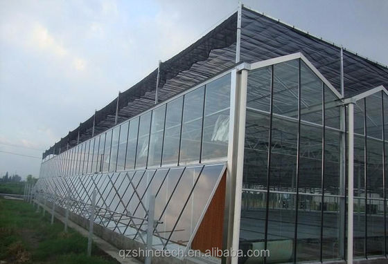 Gegalvaniseerde staalframe met glasbedekking Landbouw kas met installatie tekening