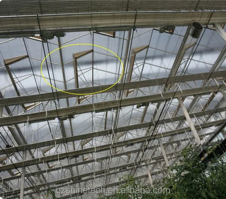 Supersterke weerstand Venlo glazen kas voor commercieel landbouwproject