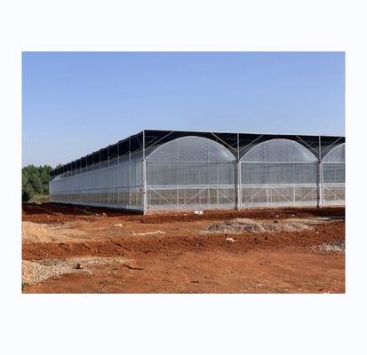 Intelligente kas voor de tamatieverbouwing Multi Span Film Green House door Shine Tech