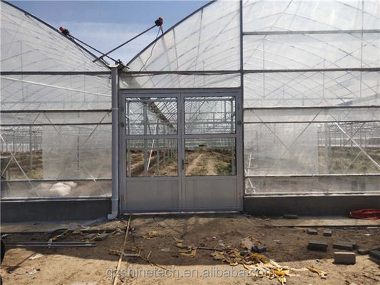 Intelligente kas voor de tamatieverbouwing Multi Span Film Green House door Shine Tech