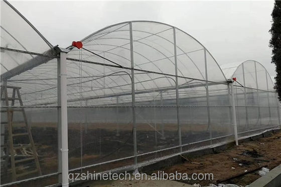 Intelligente kas voor de tamatieverbouwing Multi Span Film Green House door Shine Tech
