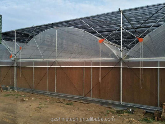 Intelligente kas voor de tamatieverbouwing Multi Span Film Green House door Shine Tech