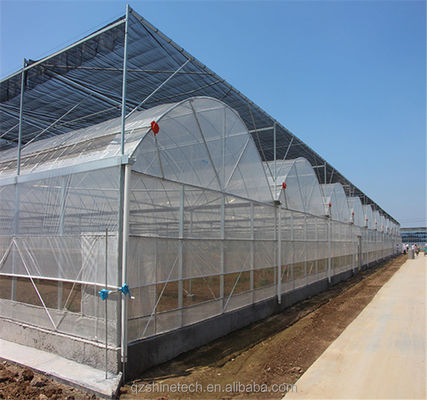 Intelligente kas voor de tamatieverbouwing Multi Span Film Green House door Shine Tech