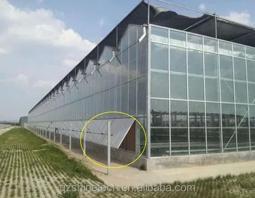 Multi-Span glazen kasten voor groente, fruit en bloemen