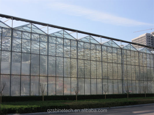 Multi-Span glazen kasten voor groente, fruit en bloemen