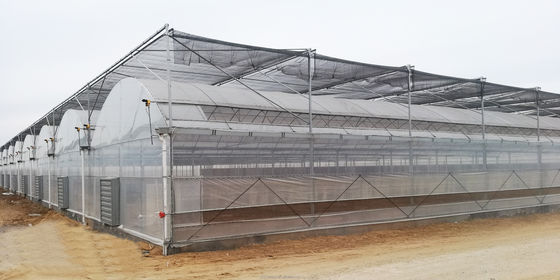 4.0-8.0M Hoogte Landbouw Multi Span Film Kas met super sterke weerstand