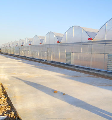 4.0-8.0M Hoogte Landbouw Multi Span Film Kas met super sterke weerstand