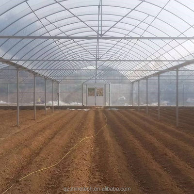 4.0-8.0M Hoogte Landbouw Multi Span Film Kas met super sterke weerstand