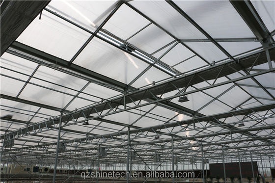 8 mm PC-plaat Multi Span Landbouwgreenhouses voor duurzame landbouw
