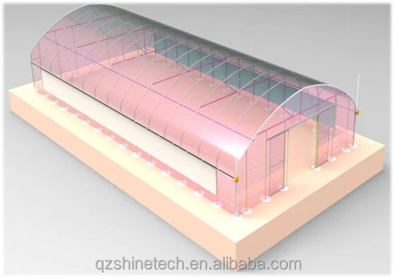 Filmbekleding 50x8m Single Span Type Landbouwtunnel kas met 3,5-5M hoogte