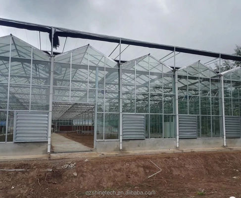 Glasbedekking NFT Hydroponische kweeksystemen De ultieme oplossing voor verticale landbouw