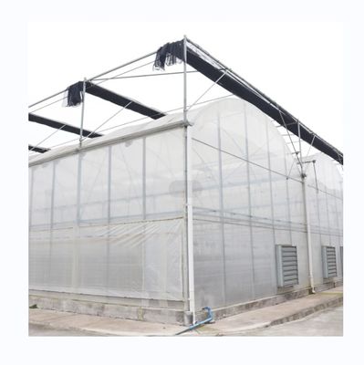 Optimale irrigatie Landbouw Multi Span Plastic Greenhouse voor eenlaagse gewassen