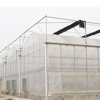 Optimale irrigatie Landbouw Multi Span Plastic Greenhouse voor eenlaagse gewassen