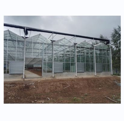 Tempered Glass Covered Agricultural Greenhouse voor de teelt van groenten in Holland Frame