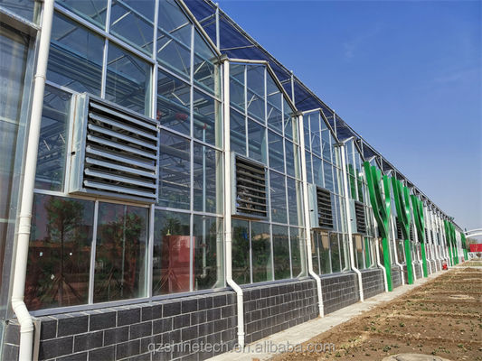 Tempered Glass Covered Agricultural Greenhouse voor de teelt van groenten in Holland Frame