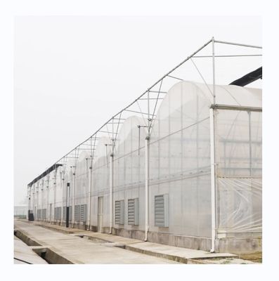 PE Multi-Span kas voor tomatenverbouwing en landbouw in tropisch klimaat