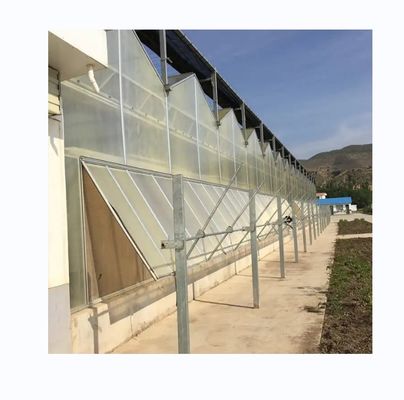 Groenten Vruchten Bloemen Multi Span Landbouwgreenhouses Met Hydroponische Systemen