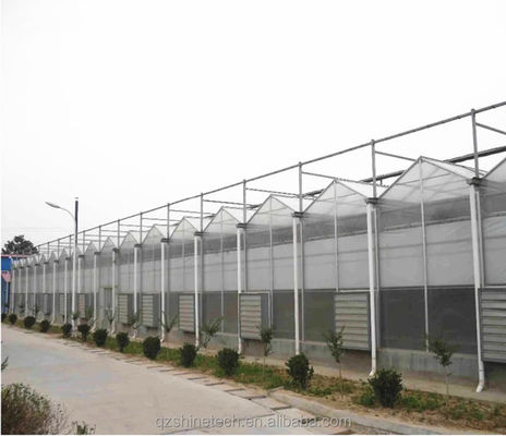 Groenten Vruchten Bloemen Multi Span Landbouwgreenhouses Met Hydroponische Systemen
