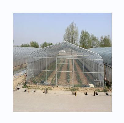 PE-tunnel kas voor hydroponische tomatenverbouwing Gemakkelijke montage Lengte 10-100m