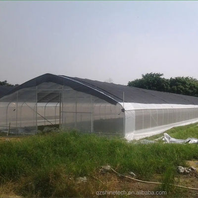 PE-tunnel kas voor hydroponische tomatenverbouwing Gemakkelijke montage Lengte 10-100m