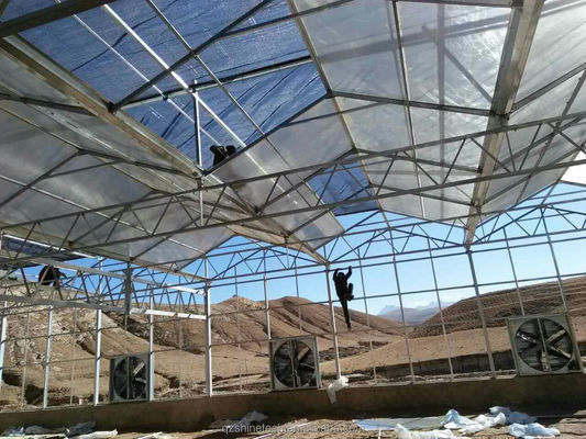 Groenten Vruchten Bloemen Multi Span Landbouwgreenhouses Met Hydroponische Systemen