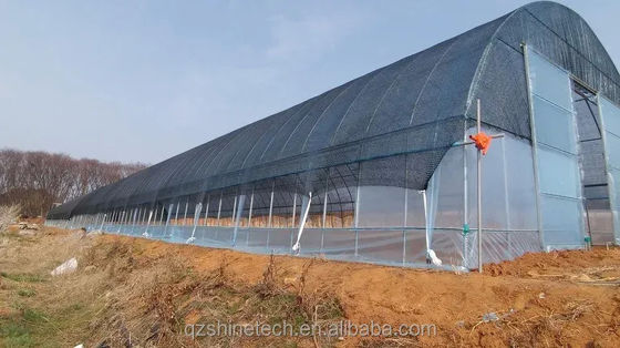 PE-tunnel kas voor hydroponische tomatenverbouwing Gemakkelijke montage Lengte 10-100m